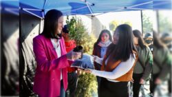 En ÁO. hemos recolectado 2 mil pinos de navidad para reciclaje, Lía Limón 2