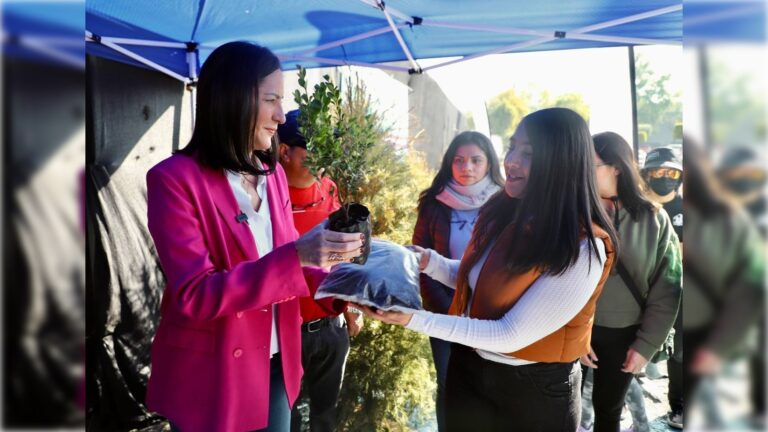 En ÁO. hemos recolectado 2 mil pinos de navidad para reciclaje, Lía Limón 2