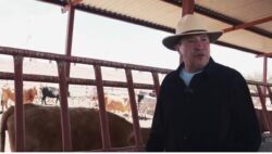 En Senado vamos a ampliar concesiones de agua a campesinos, Monreal