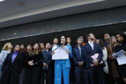 lia limon AO y panistas