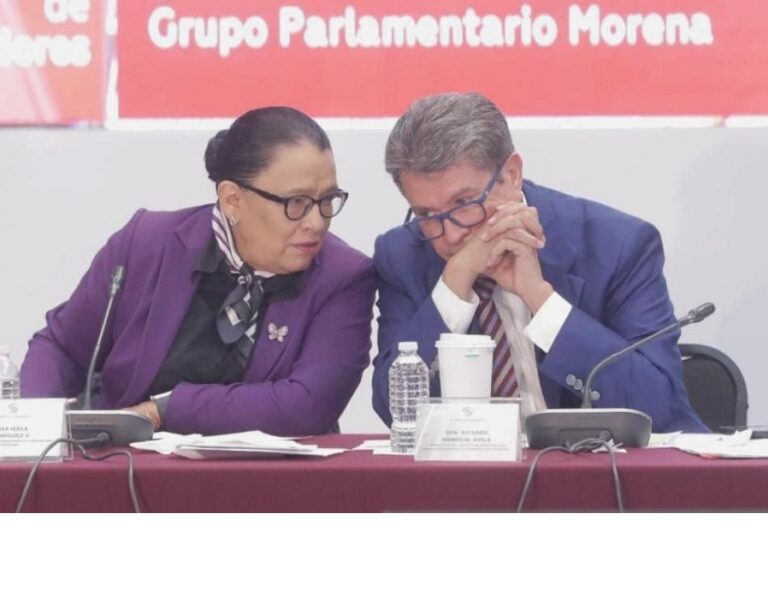 Las estructuras de Morena se deberían ir aglutinando entorno de Rosa Icela para sellar su candidatura, salvo que por un asunto de una concesión política para garantizar la unidad de Morena fuera necesario que le entregaran la candidatura a jefe de Gobierno al senador Ricardo Monreal.