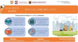 alcaldias alertas