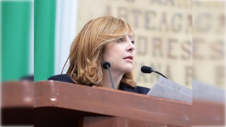 Mientras no haya nuevo reglamento, nos cuenta la diputada Gaby Salido, del PAN, se seguirá aplicando la Ley de Publicidad Exterior del Distrito Federal, que es bastante más blanda.