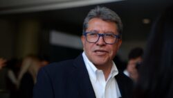 Monreal reformas pensiones