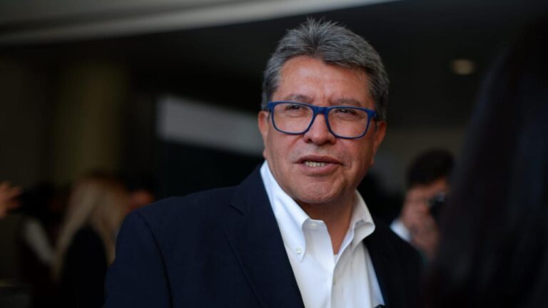 Monreal reformas pensiones