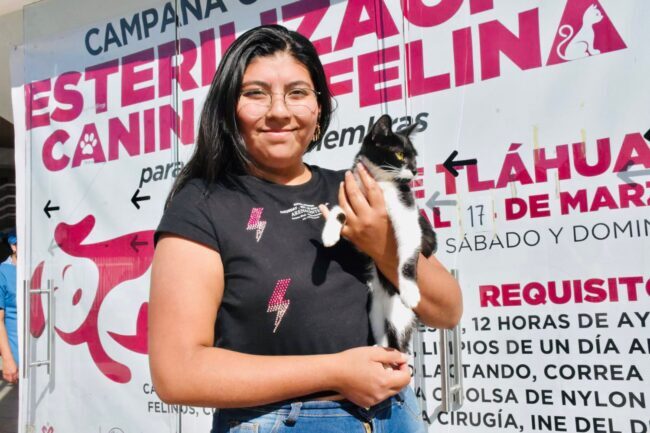 Jornada intensa de esterilización canina y felina en Tláhuac Jornada intensa de esterilización canina y felina en Tláhuac