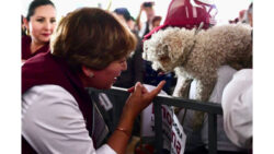 delfian gomez tlane_16x9