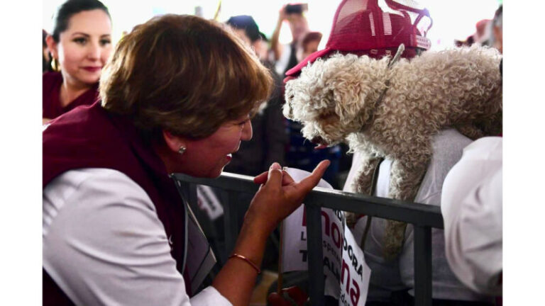 delfian gomez tlane_16x9