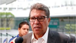 "Es la decisión de la última instancia jurisdiccional que revisa los actos del Poder Legislativo".