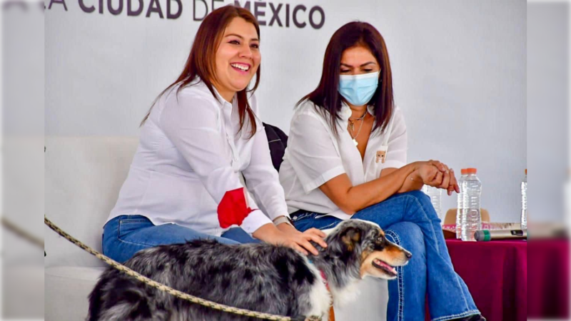 Por el bienestar animal, alistan Primer Expo Pet Tláhuac 2023 Por el bienestar animal, alistan Primer Expo Pet Tláhuac 2023