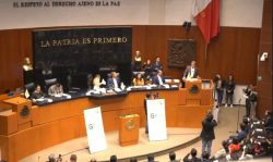 monreal senado 12 de mayo