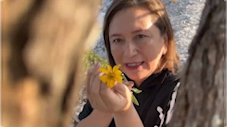 Precisamente Xóchitl dijo que va a esperar al anuncio de los dirigentes del PAN, PRI y PRD sobre el método de selección de su candidato, pero lo más importante para ella, es que si se va a garantizar o no cancha pareja para todos los aspirantes.