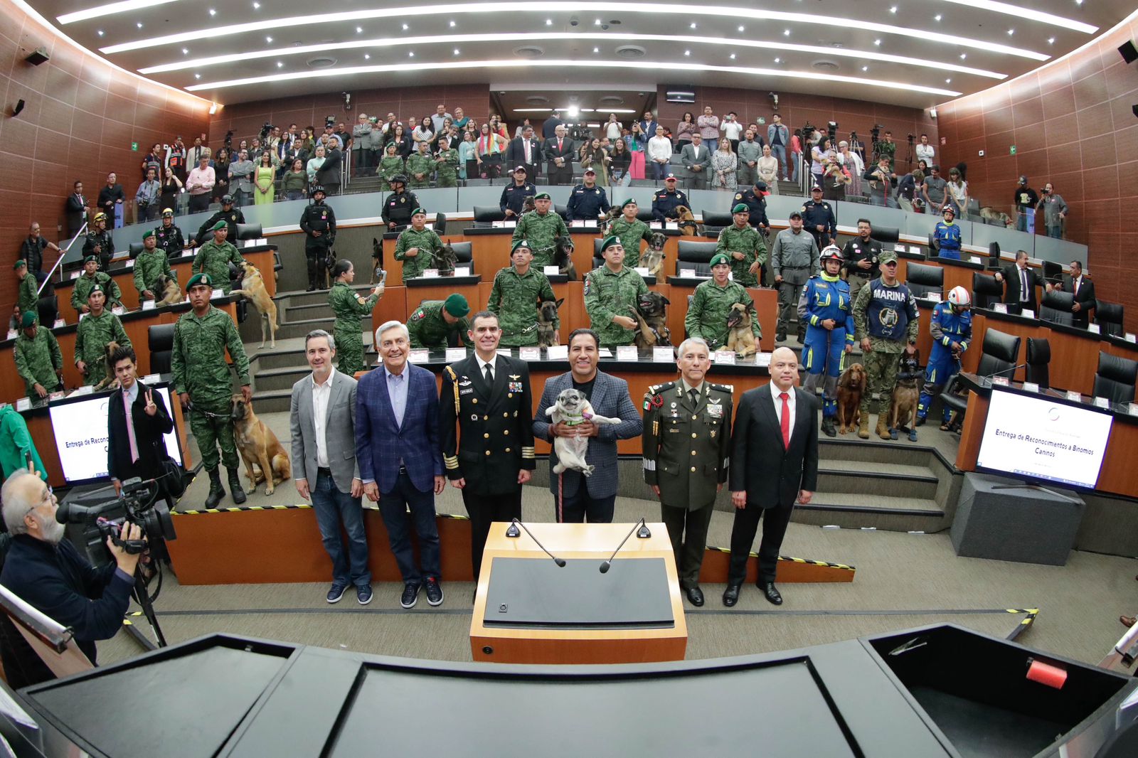 Plantea Eduardo Ramírez reforma para proteger a caninos del maltrato de los humanos