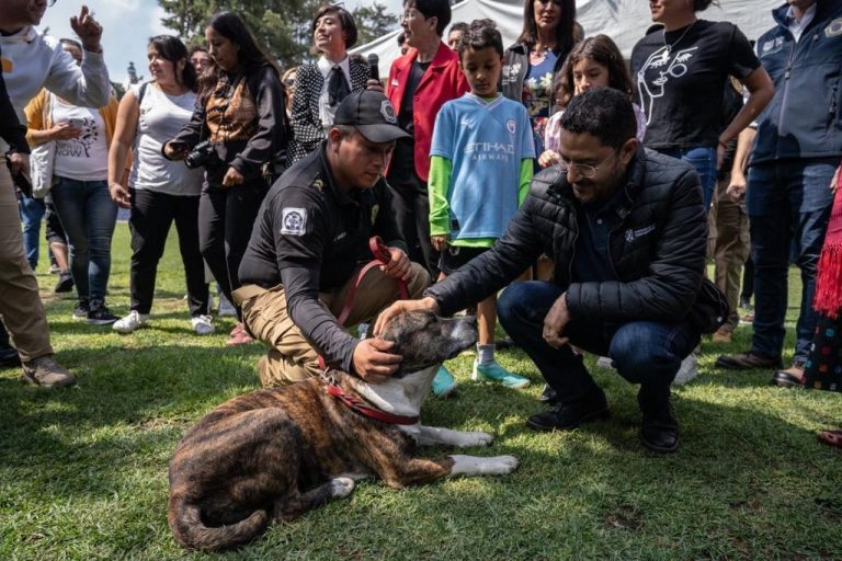 El jefe de Gobierno Martí Batres encabezó la presentación del proyecto “Ciudad de los Perros y de los Gatos”, que formará parte de la Brigada de Vigilancia Animal (BVA), perteneciente a la Secretaría de Seguridad Ciudadana (SSC), donde los animales abandonados podrán recuperarse física y emocionalmente para luego ser adoptados.