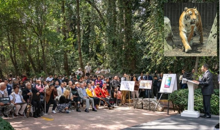 Durante la ceremonia por el centenario del Zoológico Chapultepec, el jefe de Gobierno de la Ciudad de México Martí Batres aseveró que ese espacio del pueblo es un centro de conservación de la vida silvestre y encabezó la develación de una placa y una escultura conmemorativa.