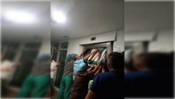 Continúa la fiesta en la Feria de las Flores de San Ángel 2023