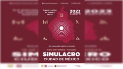 simulacro