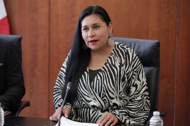 Llama Ana Lilia Rivera a integrantes del Senado a privilegiar labor legislativa