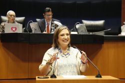 XOCHITL-DEFENSA ETNIAS Y AFRODESCENDIENTES