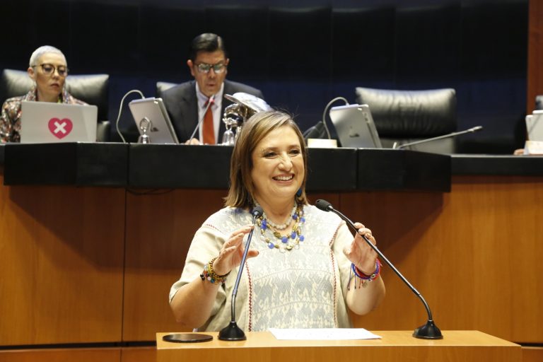 XOCHITL-DEFENSA ETNIAS Y AFRODESCENDIENTES