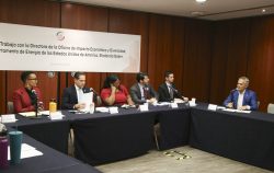 El presidente de la Comisión de Medio Ambiente, Recursos Naturales y Cambio Climático, Raúl Bolaños-Cacho Cué, se pronunció porque los procesos electorales de México y Estados Unidos “no echen atrás” lo que se ha avanzado en temas de cambio climático y de energías renovables, particularmente en nuestro vecino del norte. FOTO: Senado