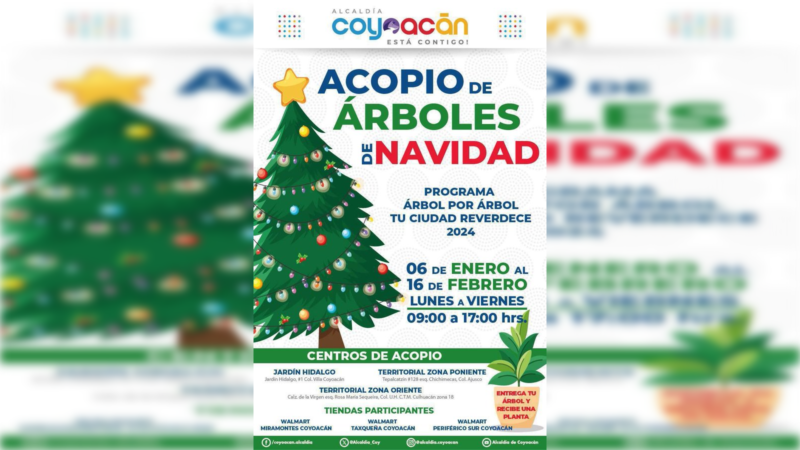 Continúa  el acopio de árboles de navidad en Coyoacán