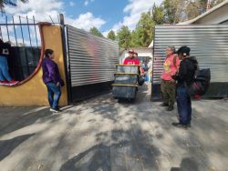 comerciantes coyoacan