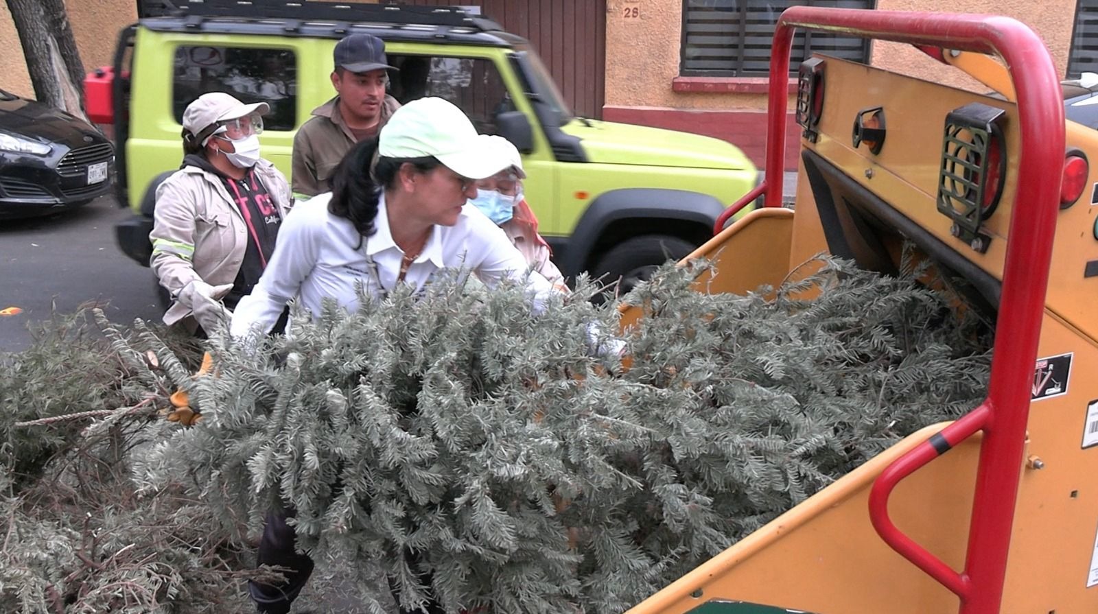 Más de 5 mil árboles navideños naturales se reciclaron en ÁO este 2024: Lía Limón Más de 5 mil árboles navideños naturales se reciclaron en ÁO este 2024: Lía Limón