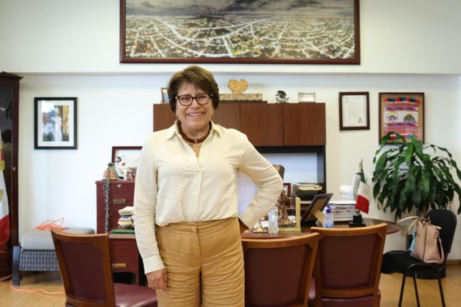 Estoy preparada para coordinar a Morena: Ávila Estoy preparada para coordinar a Morena: Ávila