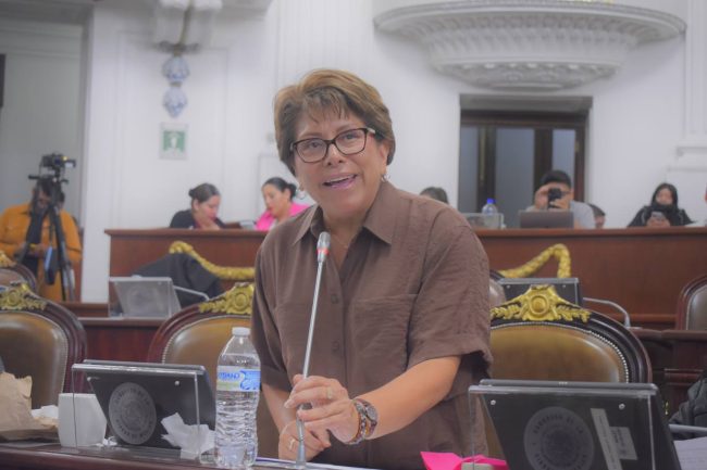 Involucrar a la Comisión de Planeación en iniciativa de rentas es una interpretación forzada: Morena Involucrar a la Comisión de Planeación en iniciativa de rentas es una interpretación forzada: Morena
