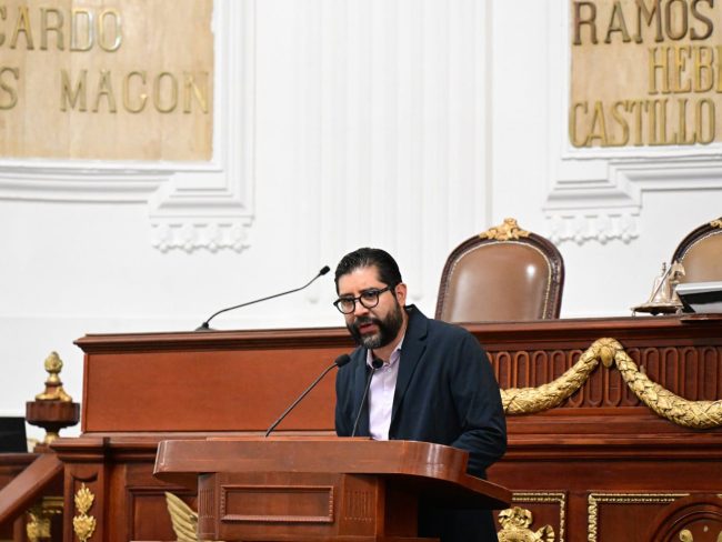 Piden aplicar normatividad en pensiones, estéticas y guarderías para mascotas Piden aplicar normatividad en pensiones, estéticas y guarderías para mascotas