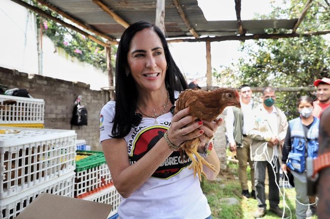 Álvaro Obregón, “Alcaldía con muchos huevos”, Lía Limón entrega mil 800 gallinas ponedoras a 180 familias Álvaro Obregón, “Alcaldía con muchos huevos”, Lía Limón entrega mil 800 gallinas ponedoras a 180 familias