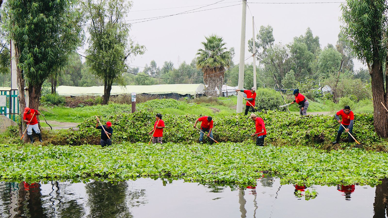 Alcaldía Xochimilco recupera sus canales y genera empleos temporales para la comunidad Alcaldía Xochimilco recupera sus canales y genera empleos temporales para la comunidad