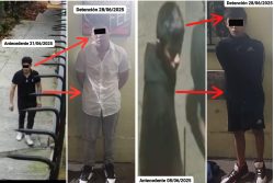 En el marco de la estrategia de seguridad #BlindarBJ360, elementos de proximidad lograron la detención de dos individuos de 15 y 24 años, presuntamente implicados en un robo a comercio en la colonia Vértiz Narvarte.