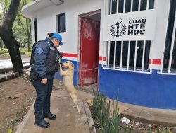 “Abandonar a un animal no solo es cruel, es un delito”, acusa Rojo de la Vega.