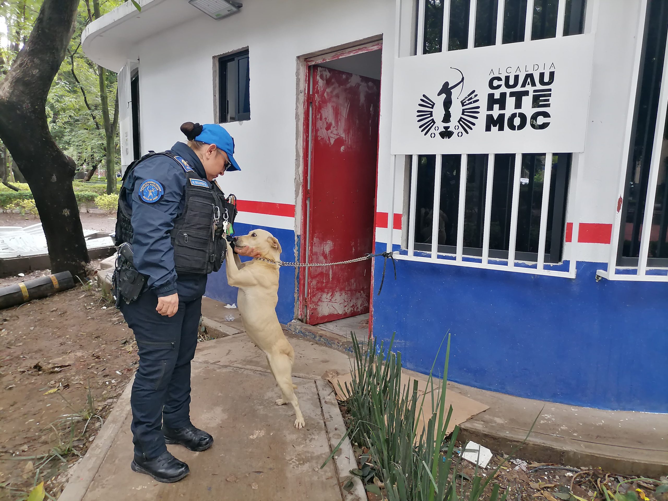 Llama Ale Rojo a tenencia responsable de mascotas, tras nuevo abandonos Llama Ale Rojo a tenencia responsable de mascotas, tras nuevo abandonos