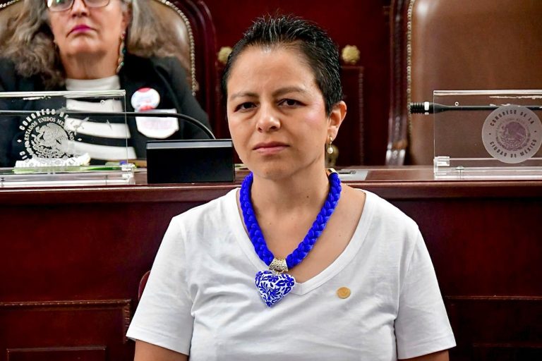 La diputada del PAN Liz Salgado acusó que en el tema de la inclusión a las personas con discapacidad hay mucho camino por recorrer, pues ni las autoridades del Gobierno de la Ciudad de México cumplen el mínimo del 8% de personas con discapacidad que por ley deben ser incluidos en la plantilla de Capital Humano. FOTO: Especial