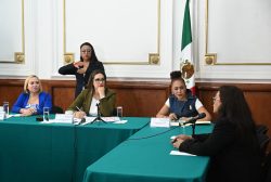 La Comisión de Derechos Humanos del Congreso local, que encabeza la legisladora Jannete Elizabeth Guerrero Maya (PT), concluyó con la serie de entrevistas de las personas aspirantes a integrar el Consejo Ciudadano Honorífico de este órgano legislativo, que se encargará de evaluar a la persona titular de la Comisión de Derechos Humanos de la Ciudad de México. FOTO: Especial