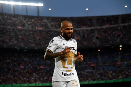 Pumas parásitos