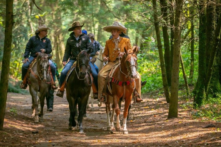 El gobierno de Cuajimalpa se distingue de otras alcaldías en materia de protección al medio  ambiente y presentó este sábado la Policía Guardabosques, que tiene como finalidad prevenir y combatir la tala ilegal, los asentamientos irregulares y la extracción de recursos. FOTOS: Especial