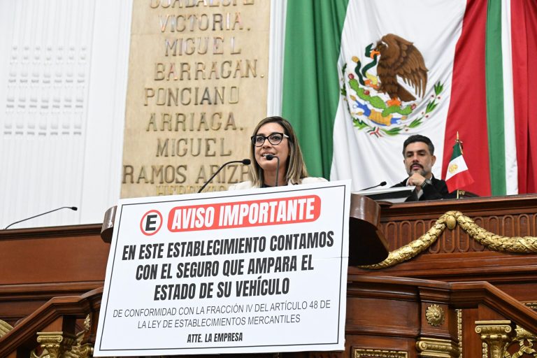 Impulsa PT reforma contra ‘estacionamientos mafiosos’, Jannette Guerrero, diputada PT. FOTO: Especial