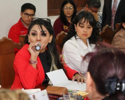 La concejala del Partido del Trabajo (PT), María Esther Rodríguez de la Serda acusó al Instituto Electoral de la Ciudad de México (IECM) de negarle las medidas cautelares ante una acusación que presentó de haber sido presuntamente víctima de violencia política contra la mujer en razón de género. FOTO: PT